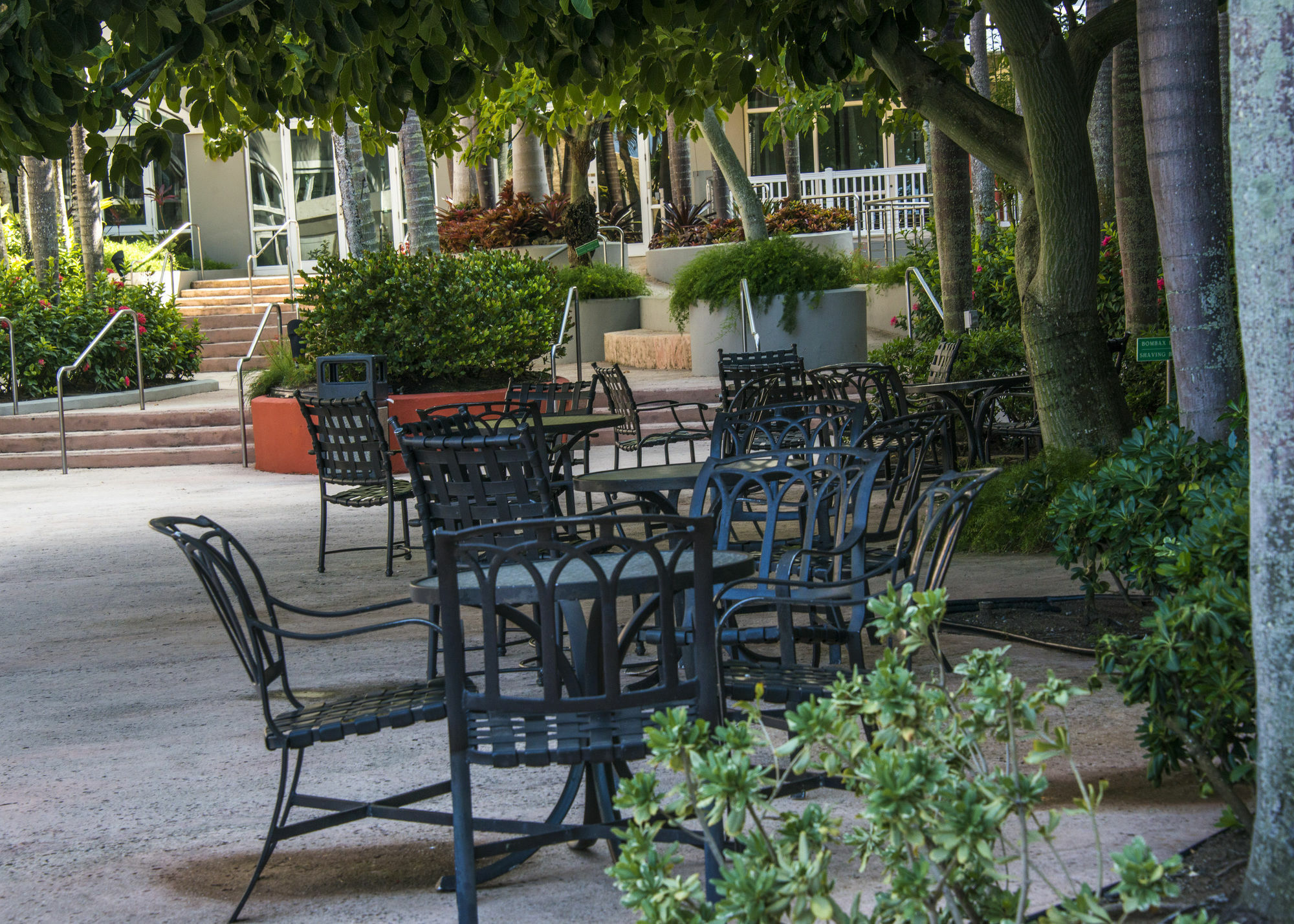 Aquarius Vacation Club At Dorado Del Mar酒店 外观 照片